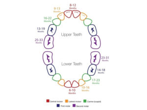 Facts on teething and the effects it has on sleep