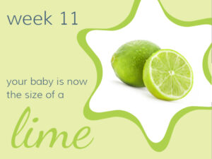 Week 11