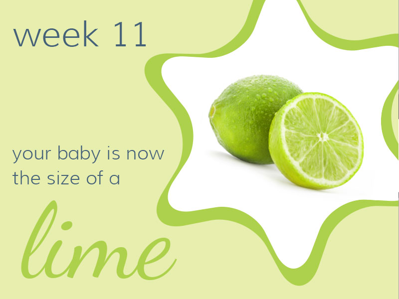 Week 11
