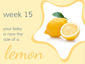 Week 15