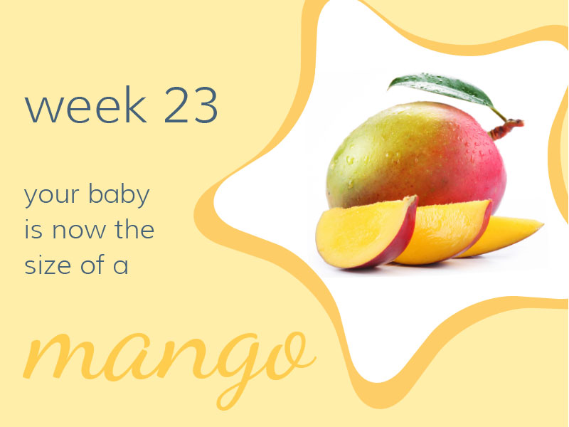 Week 23