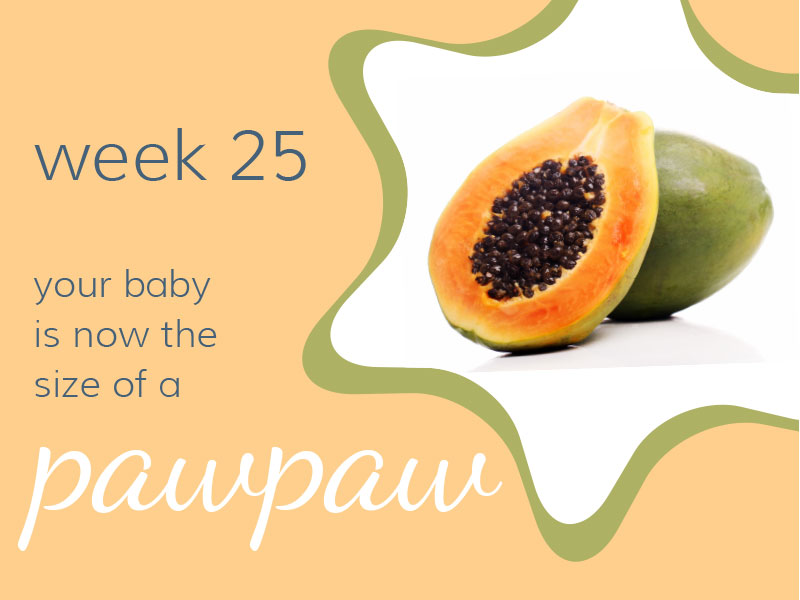 Week 25