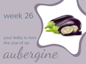 Week 26