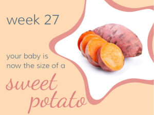 Week 27