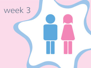 Week 3