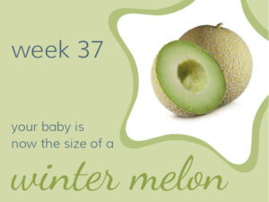 Week 37