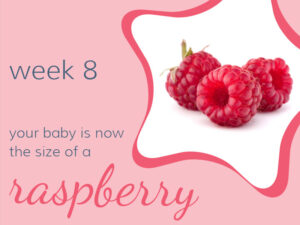 Week 8